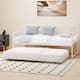 Option White