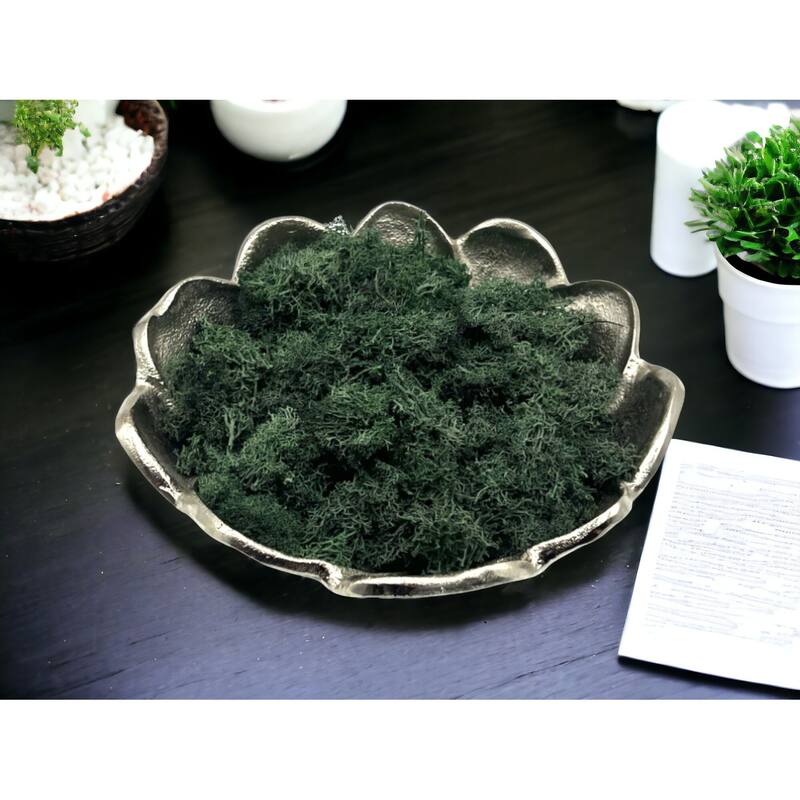 Preserved Reindeer Moss in Multiple Colors