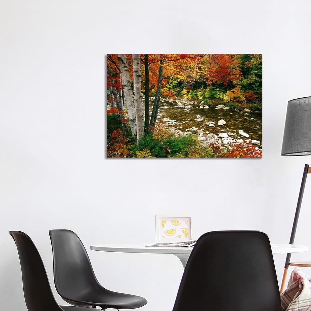 iCanvas "Autumn Landscape, Swift River, White Mountains, New Hampshire, USA" by Darrell Gulin Canvas Print