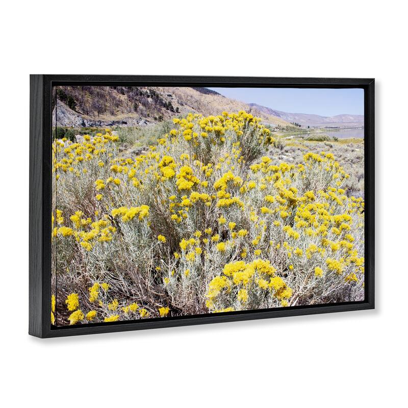 Stupell Yellow Flowers in Arid Meadow Framed Floater Canvas Wall Art Design By Gemma Bardot