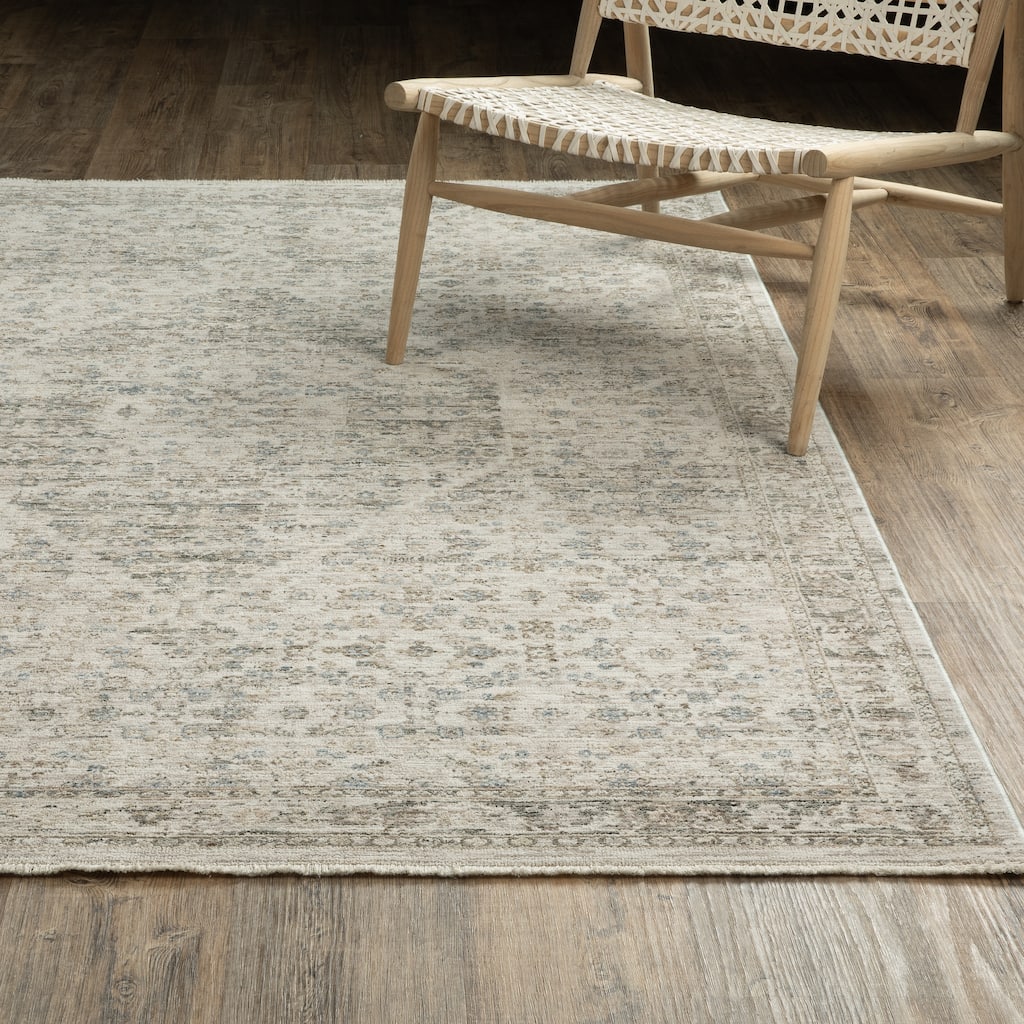 Amira Vintage Center Medallion Grey/ Beige Area Rug