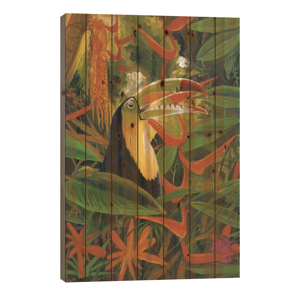 Toucan Colors Print On Wood by Graeme Stevenson - Multi-Color