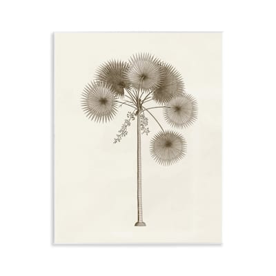 Stupell Vintage Study of Palm Tree Wall Plaque Art Design By Phillipa Katz