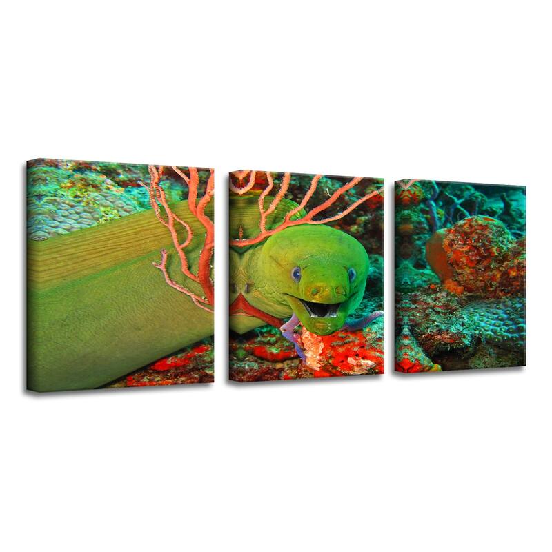 Chris Doherty 'Eel' Canvas Art 3-piece Set