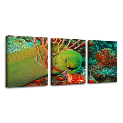 Chris Doherty 'Eel' Canvas Art 3-piece Set