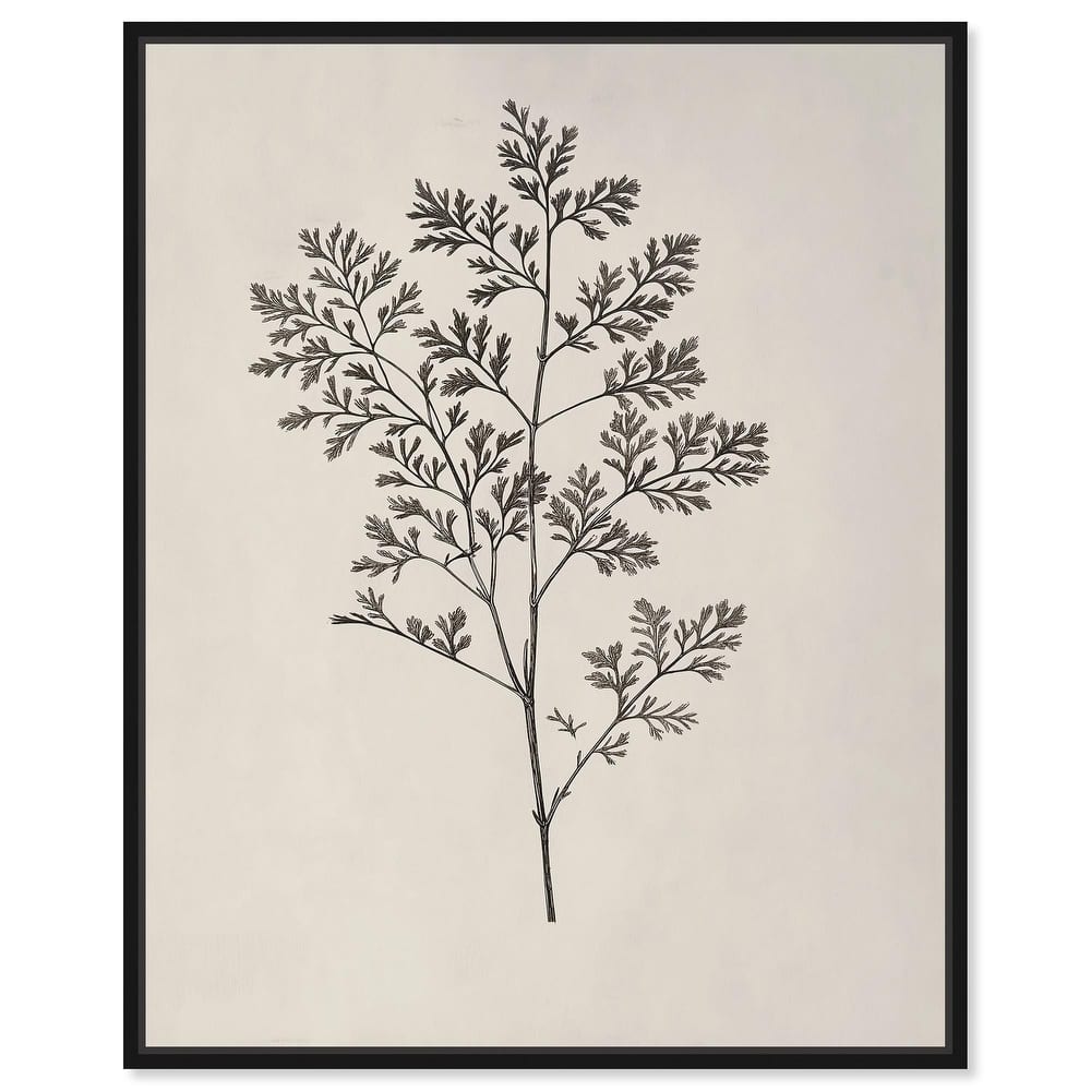 Aniseed Anatomy II Canvas Delicate Floral by Art Remedy