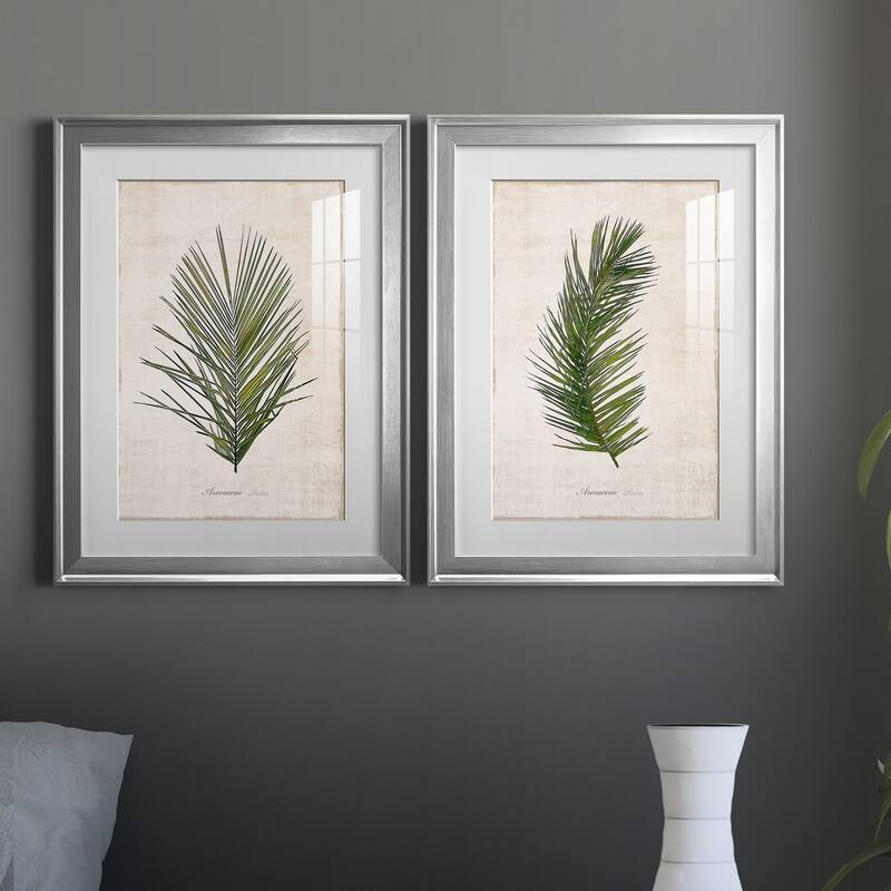 Palm Botanical I Premium Framed Print - Ready to Hang