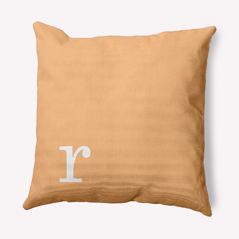 Modern Monogram Decorative Throw Pillow - 20" x 20" - r