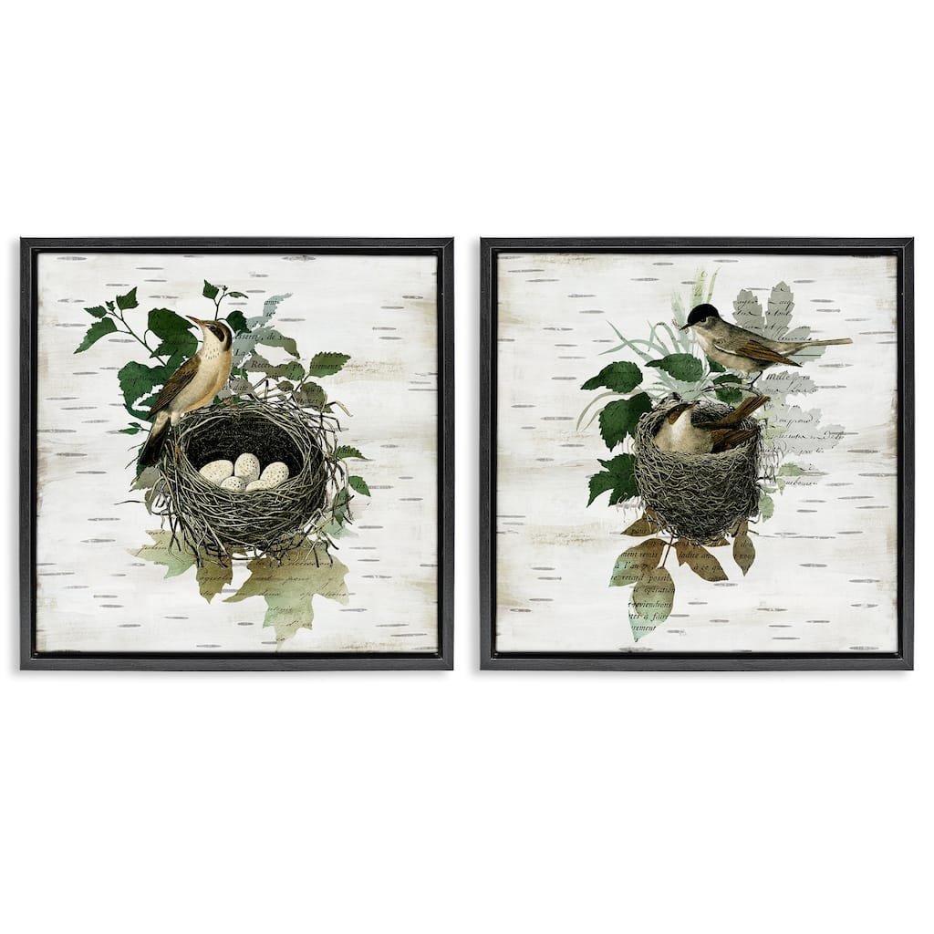 Stupell Rustic Vintage Bird Nests Framed Floater Canvas Wall Art Design By Susan Arnot (Set of 2)