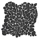 Option Black Marquina