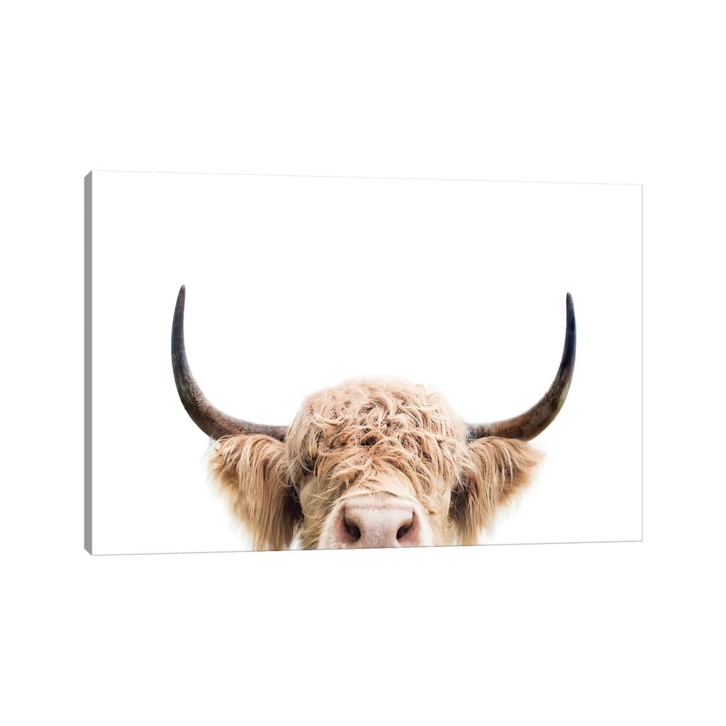 iCanvas "Peeking Cow" by Sisi & Seb Canvas Print