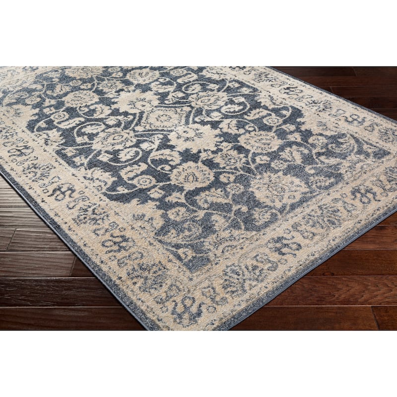Amedeo Traditional Area Rug