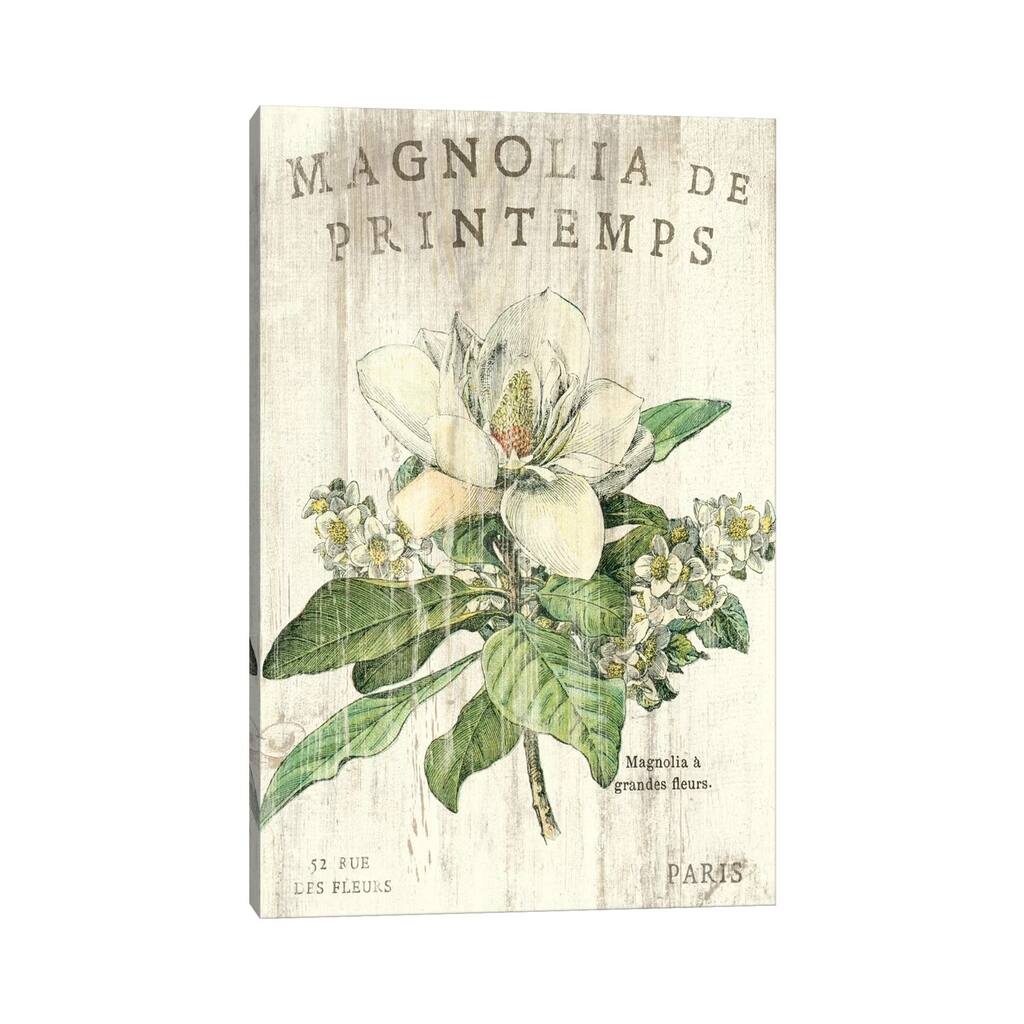 iCanvas "Magnolia de Printemps " by Sue Schlabach Canvas Print