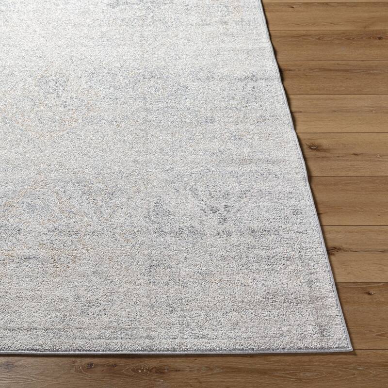 Livabliss Harput Transitional Medallion Area Rug