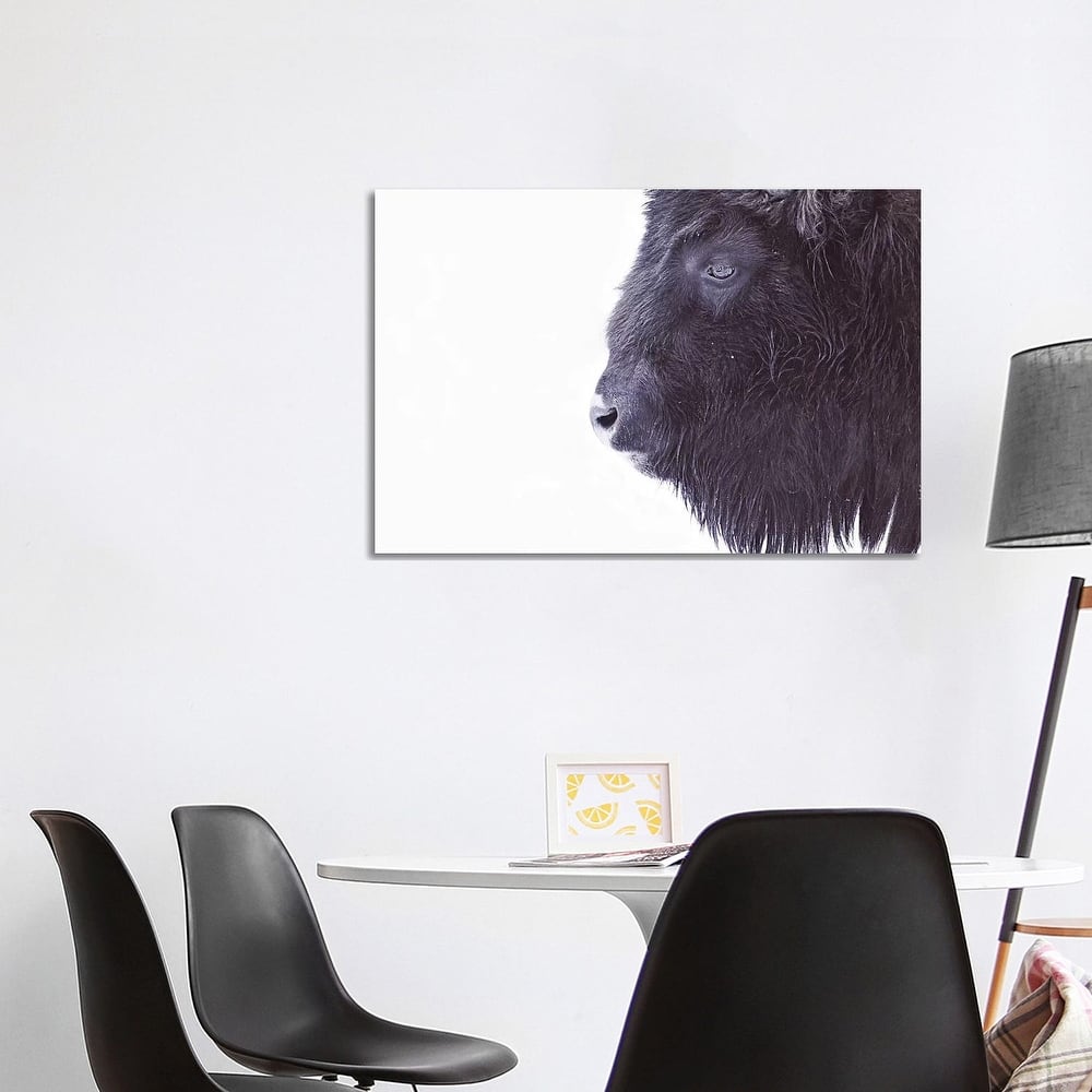 iCanvas "Black Buffalo Portrait" by Monika Strigel Canvas Print