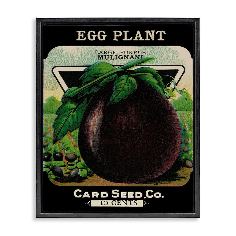 Stupell Vintage Garden Eggplant Framed Floater Canvas Wall Art Design By Lil' Rue - 25 x 31 - Black