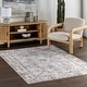 preview thumbnail 22 of 36, Nuloom Teja SplashGuard Persian Medallion Machine Washable Area Rug 4' x 6' - Stone