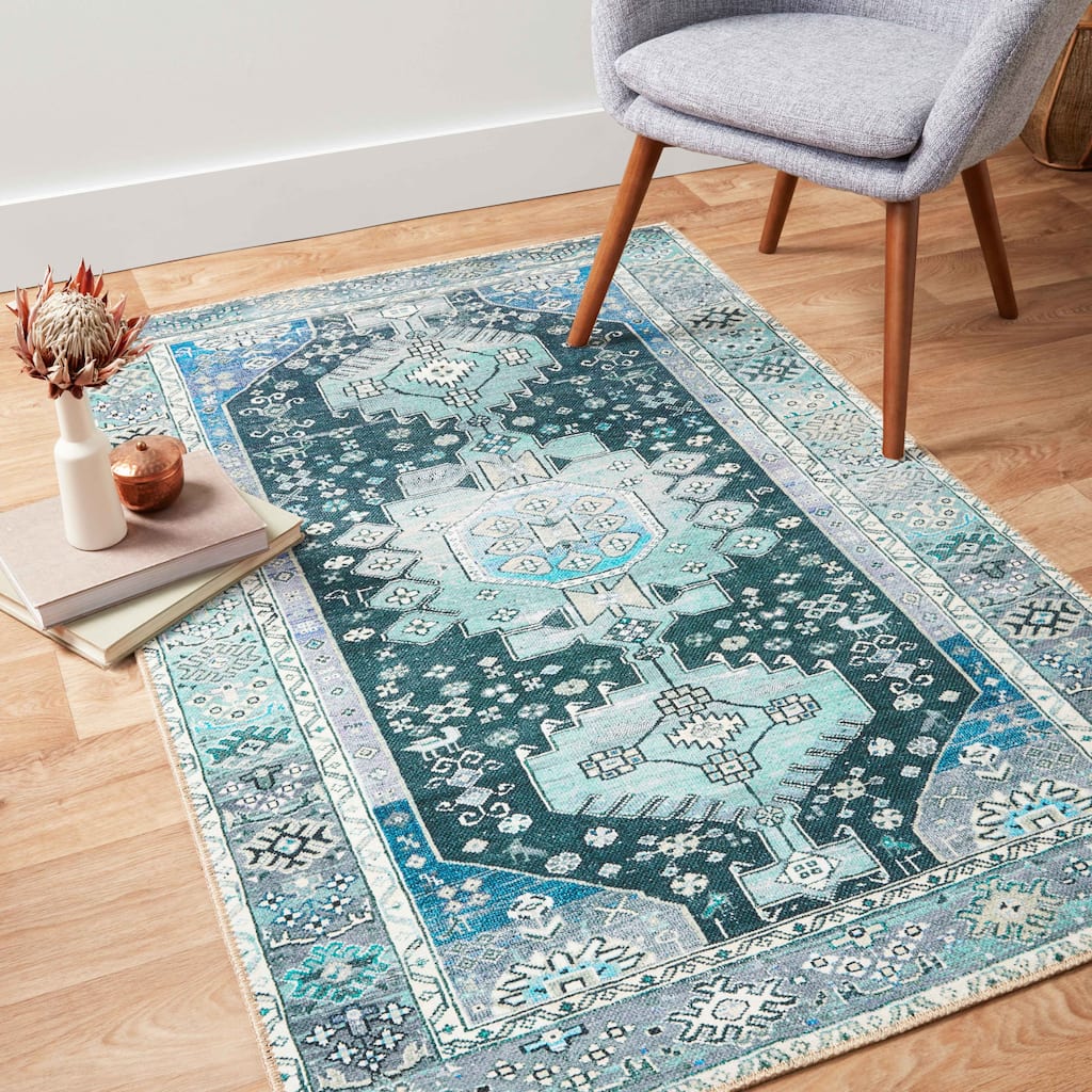 Alexander Home Dhanya Boho Transitional Vintage Area Rug
