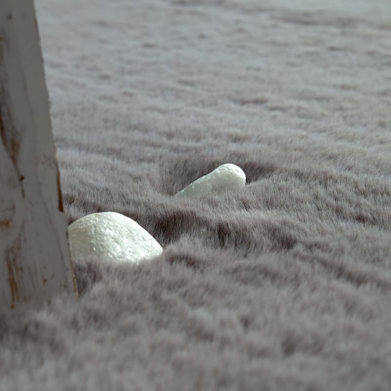 Solid High Pile Area Rug Cosy Luxurious Touch Super Soft