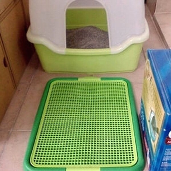 indoor potty