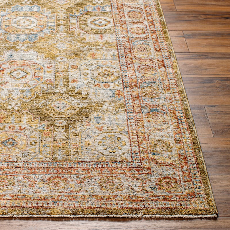 Terriey Traditional Area Rug