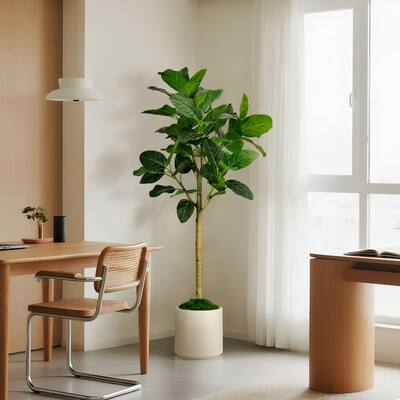 5 ft. Artificial Audrey Ficus Tree in White Decor Pot - 29.5 in. W x 29.5 in. D x 60.25 in. H