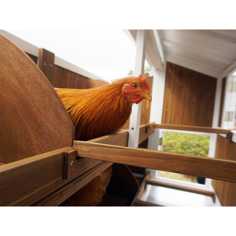 Free Range Chicken Coop