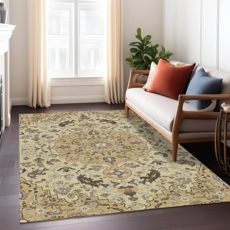 Machine Washable Indoor/ Outdoor Traditional Indore Chantille Rug