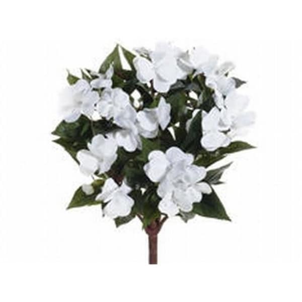 FBI633-WH 13.7 in. Guinea Impatiens Bushes White- Case of 6