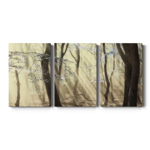 Forest Dimensions- Premium Gallery Wrapped Canvas - Ready to Hang