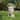 Speckled Beige Thoughtful Bust Head MgO Indoor/ Outdoor Statue Planter