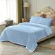 Option Light Blue