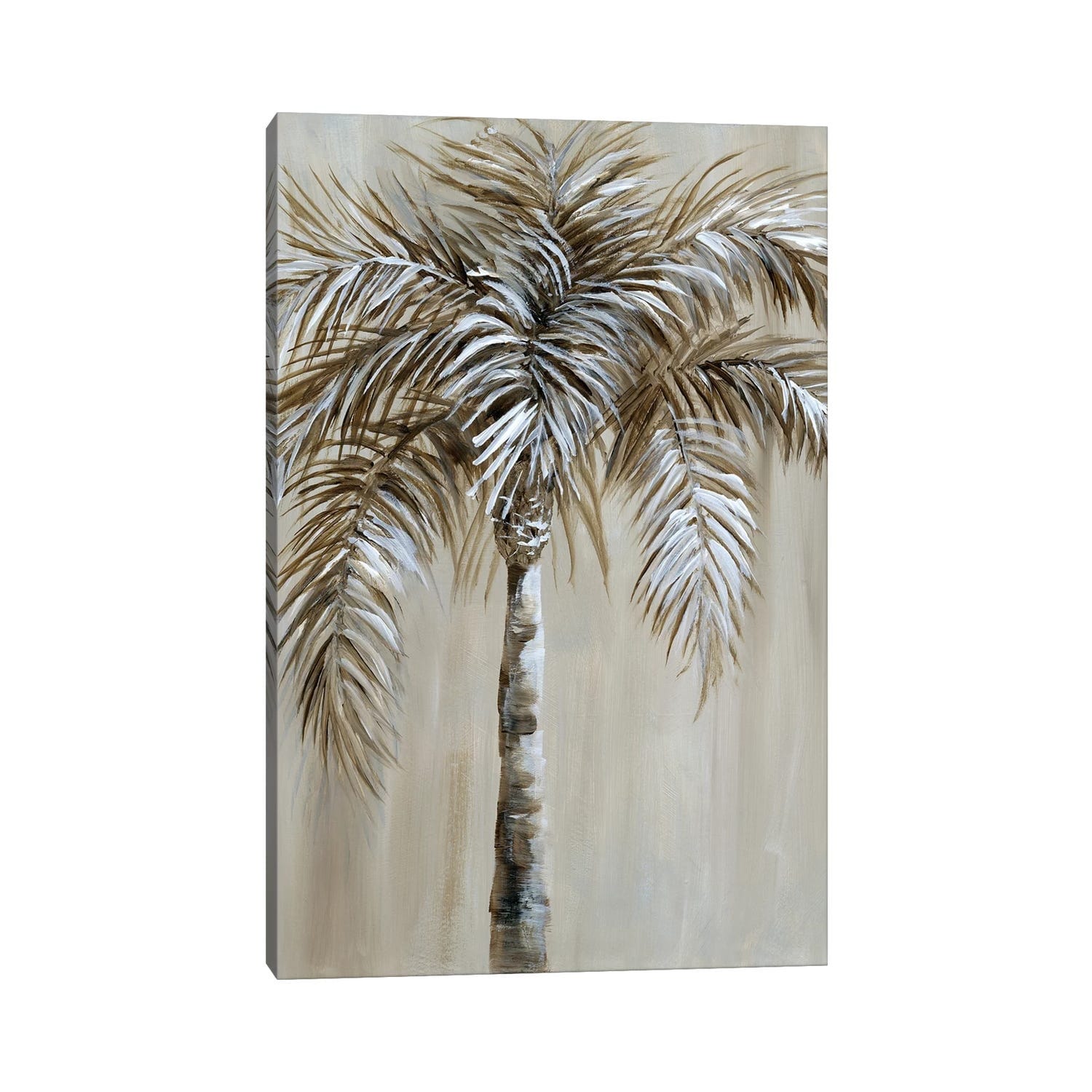 iCanvas "Palm Magic I" by Nan Canvas Print
