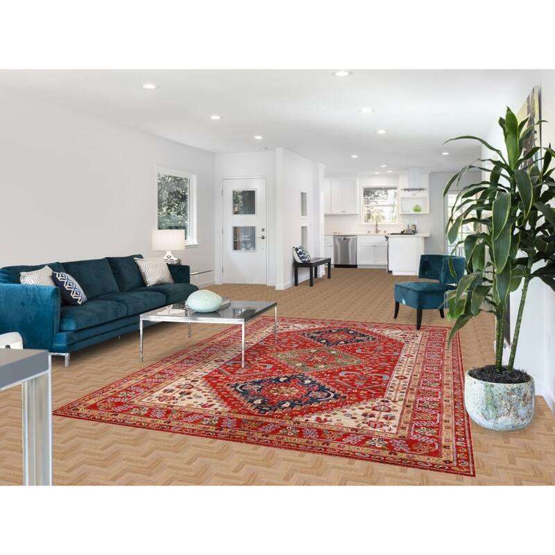 Vegetable Dye Ziegler Area Rug Handmade Oriental Wool Carpet - 6'7"x 9'9"