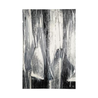 Glass Shower II (40 x 60) Canvas Art Print
