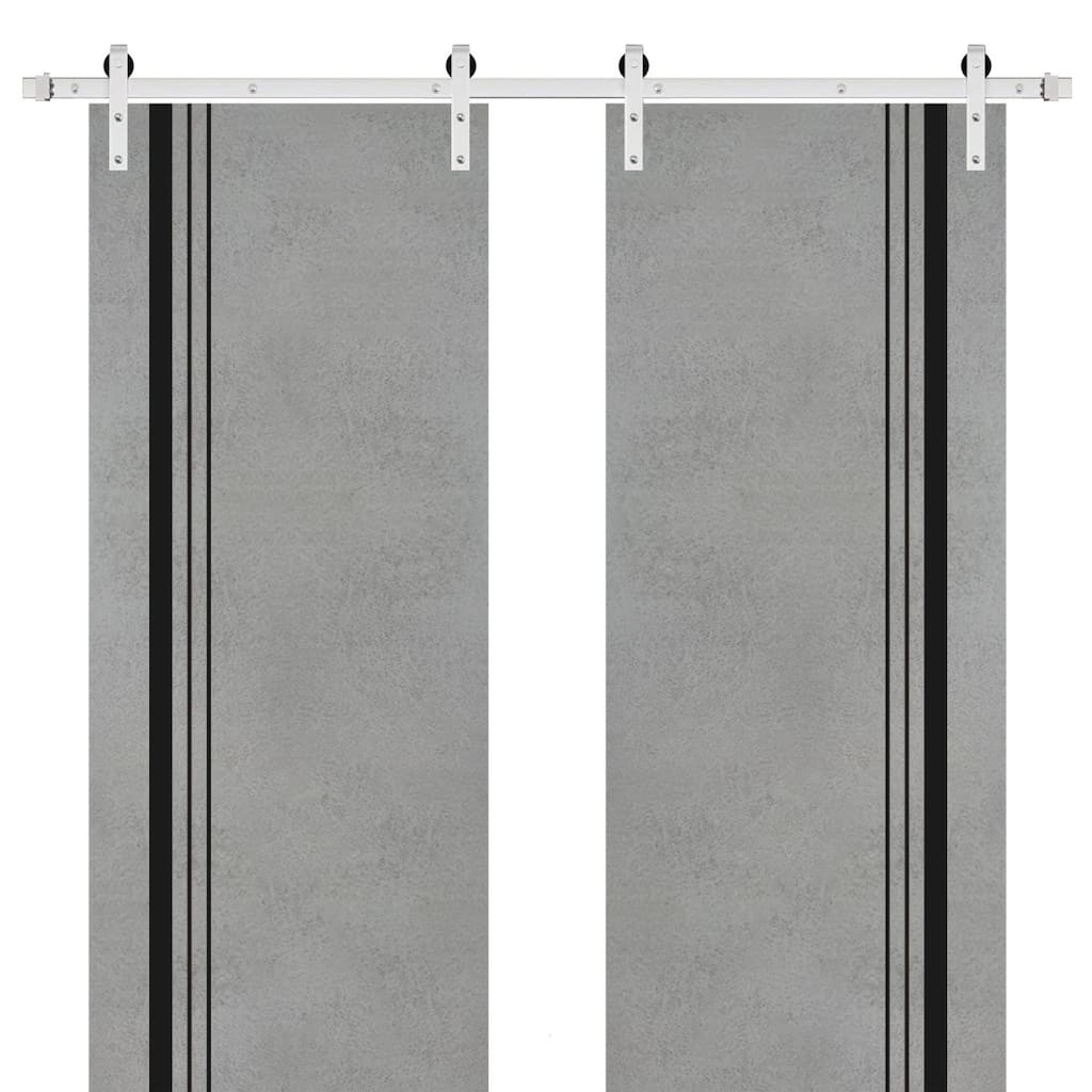 Sturdy Double Barn Door 36 x 80 with Planum 0011 Concrete with 13FT