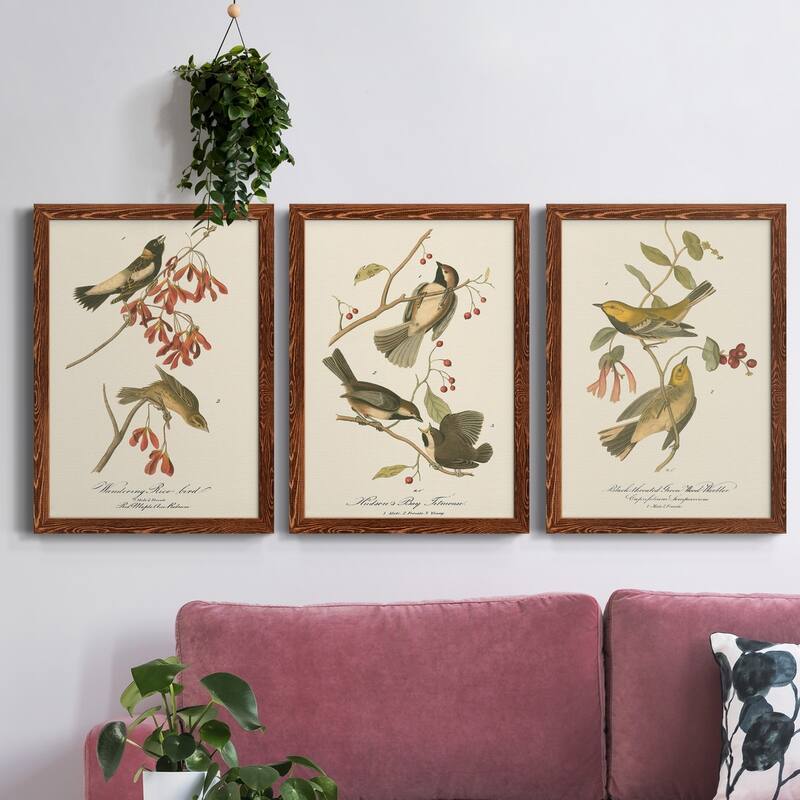 Wandering Rice Bird-Premium Framed Canvas - Ready to Hang - Multi-Color