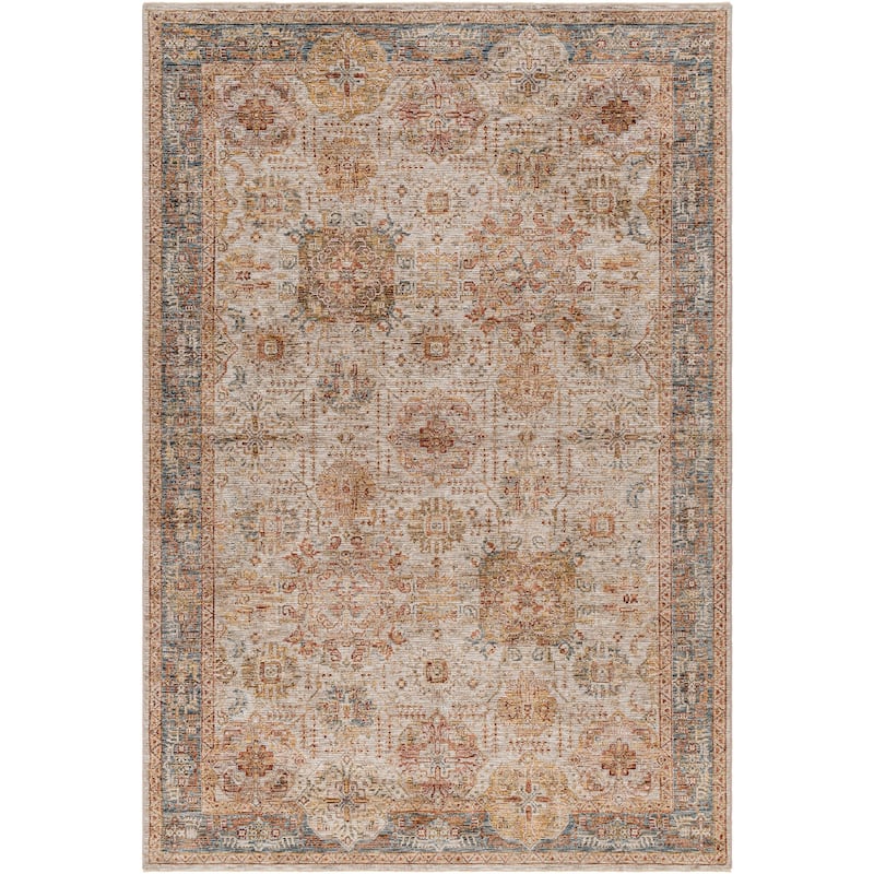 Aiyla Traditional Medallion Area Rug