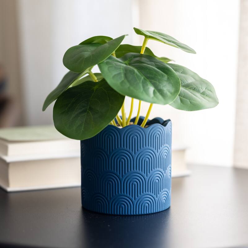 6.5''H Faux Money Plant In Terracotta Scallop Pot
