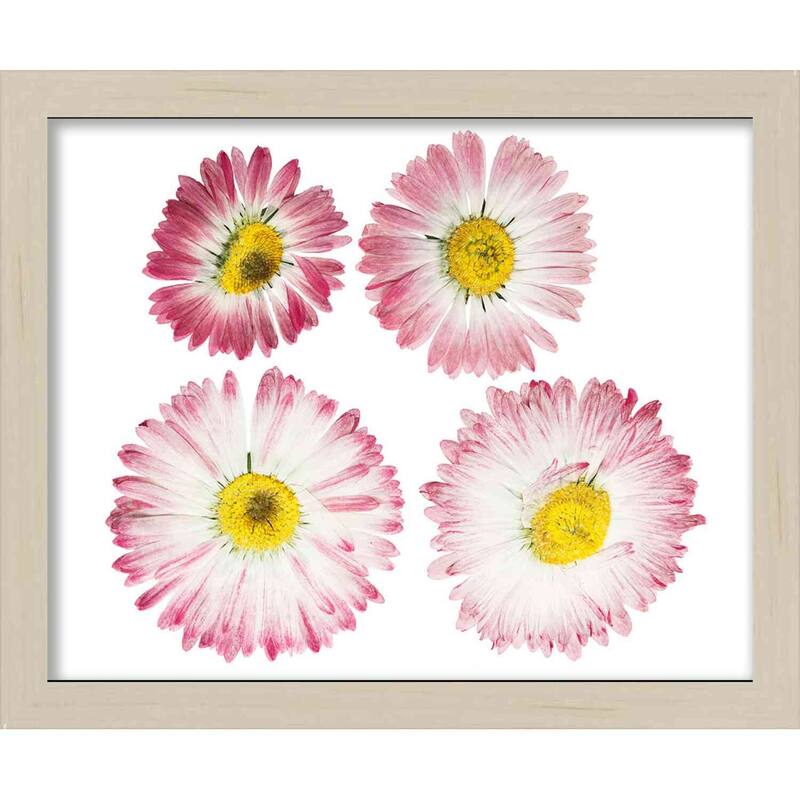 24x26 Natural Shadowbox Frame - Interior Size 24x26 x 1.5 In Deep - Natural Frame Can Display Items Up To 1.5 In Deep