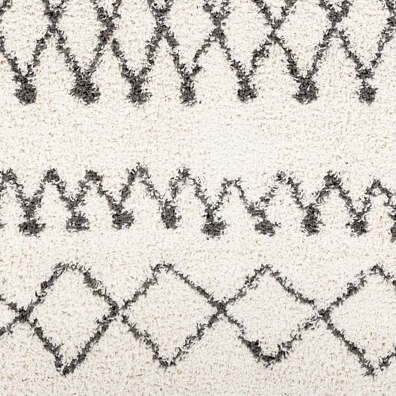 Graydon Moroccan Plush Area Rug