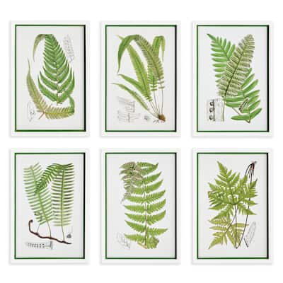 Layered Fern Prints