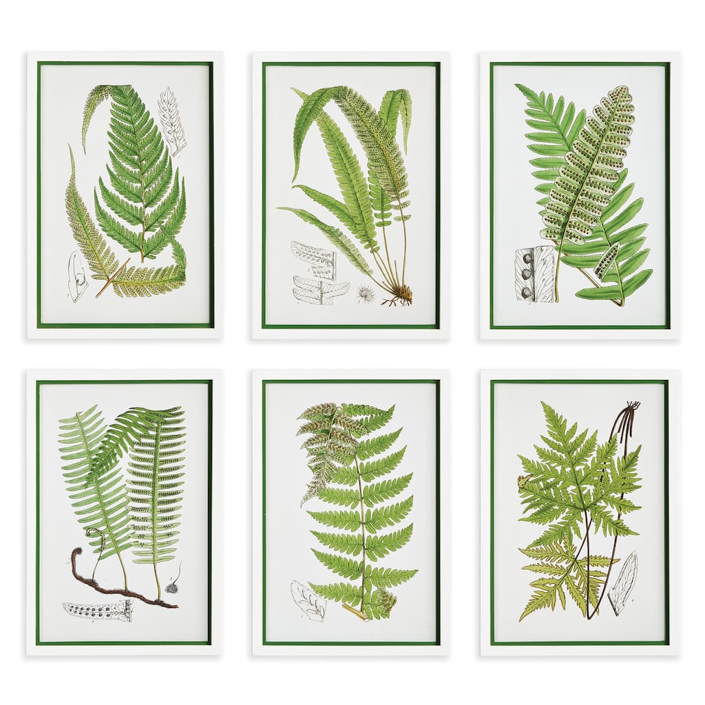 Layered Fern Prints