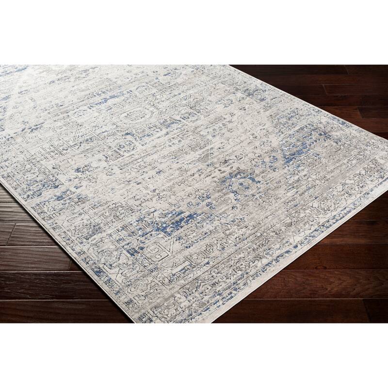Nahla Distressed Traditional Area Rug