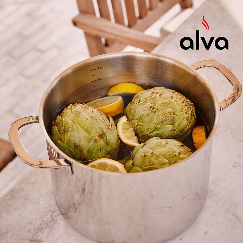 Alva Maestro Stainless Steel Stock Pot - Heavy Duty, Non-Toxic