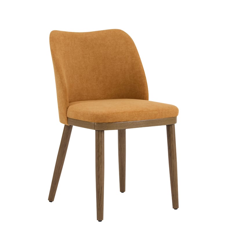 Aviana Fabric Upholstered Dining Chairs (Set of 2) by Christopher Knight Home