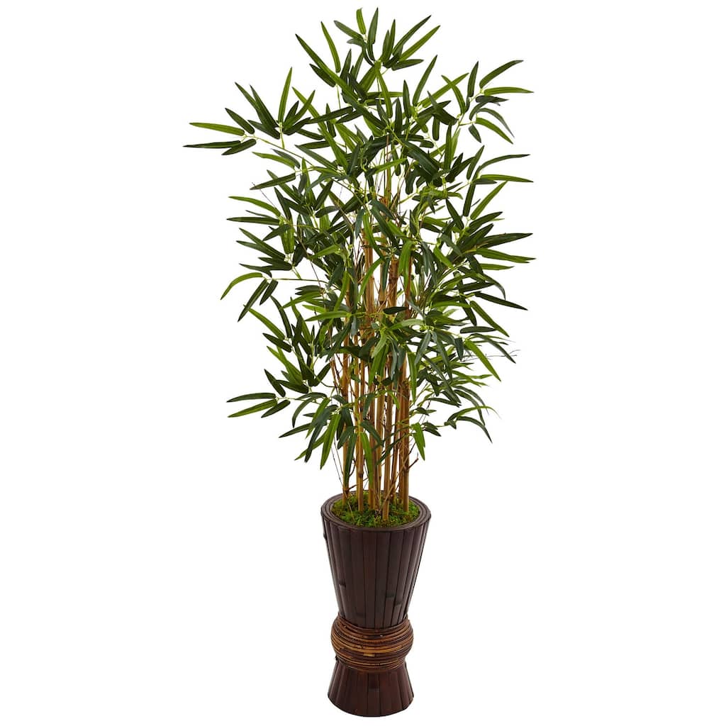 Bamboo Tree Indoor 4.5Ft