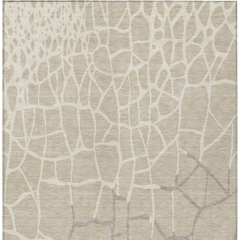 HomeRoots Abstract Transitional Rectangle Outdoor Rug
