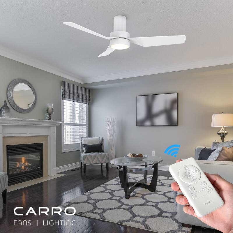 CARRO Nantes 44" Indoor Ceiling Fan with LED Light and Remote Control - N/A