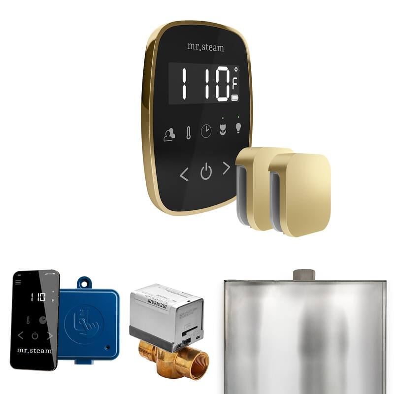 Mr Steam BFX Butler Flex Max Package Steam Shower Control Package with - Black / Satin Brass